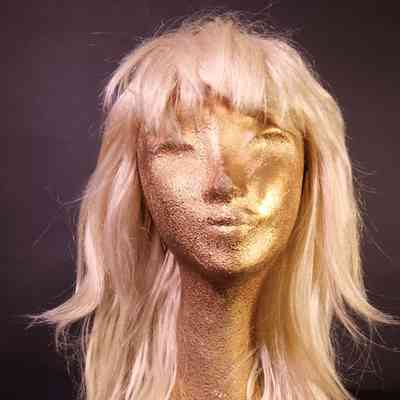 Wig- Long 70's Flick