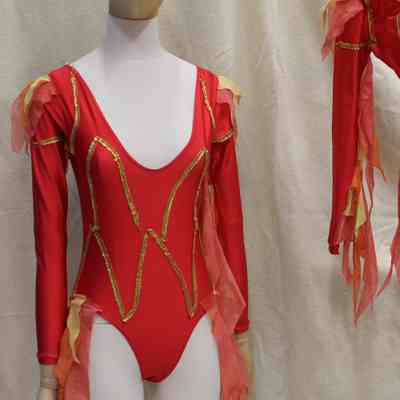 Leotards