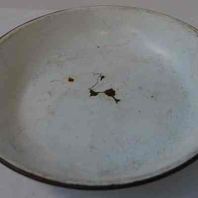 Plate- Enamel
