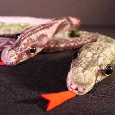 Toy- snakes