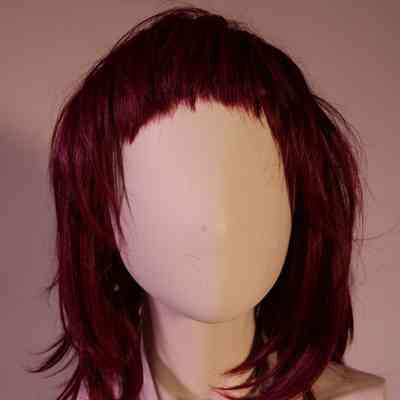 Wig- Shag