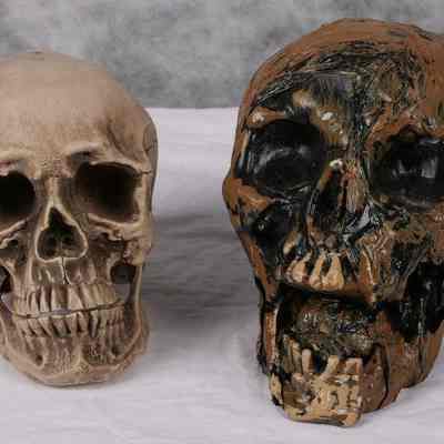 Skulls