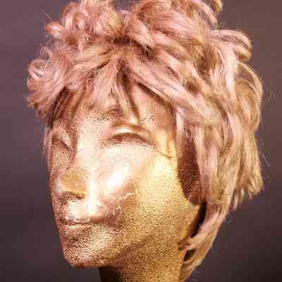 Wigs- Shag