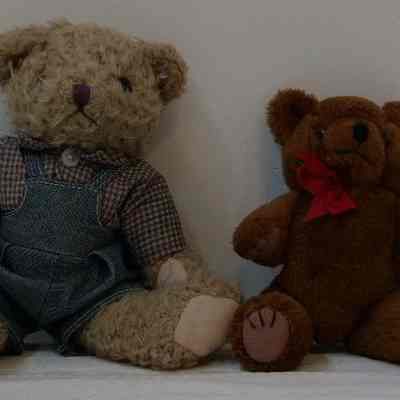 Toys- Teddy bears Small