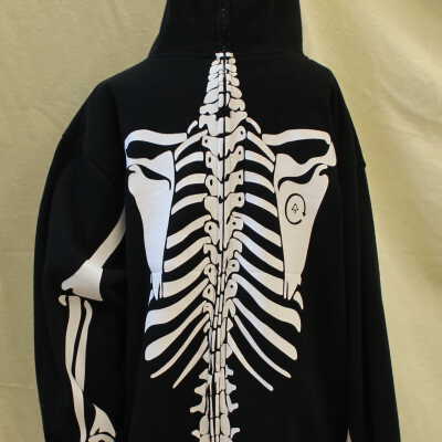 Back