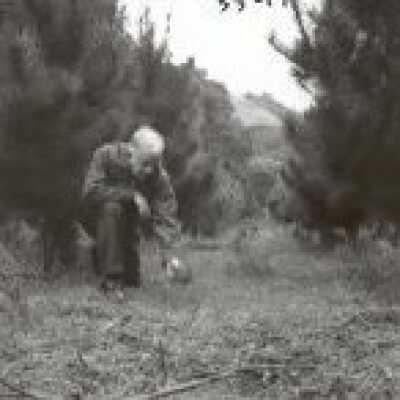 Christmas Tree Ranch