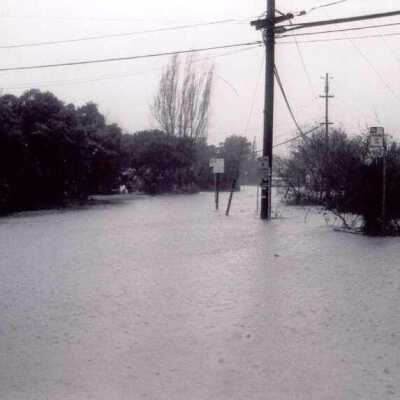 Storm Damage 1998
