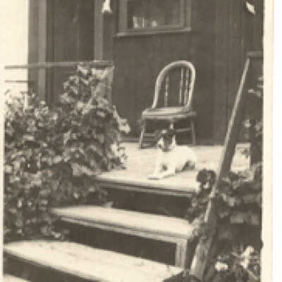 The Doll House
