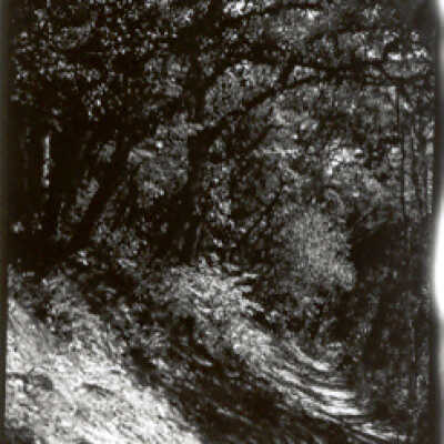 Up grade in woods to Summit
