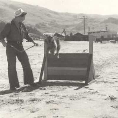 Dog and Horse Patrols