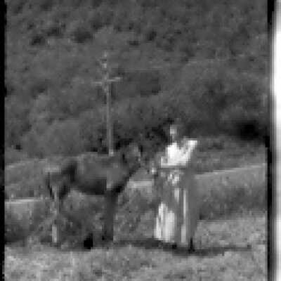 Woman and Foal