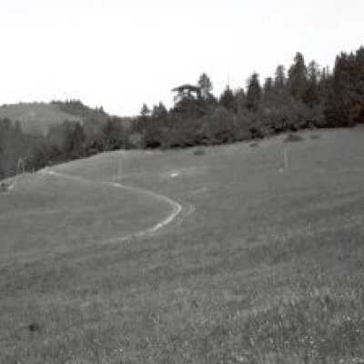 Halfway up Butler's-Hog's Back Trail