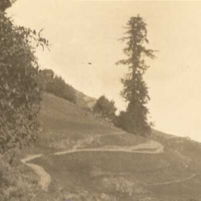 The Lone Tree and Trail