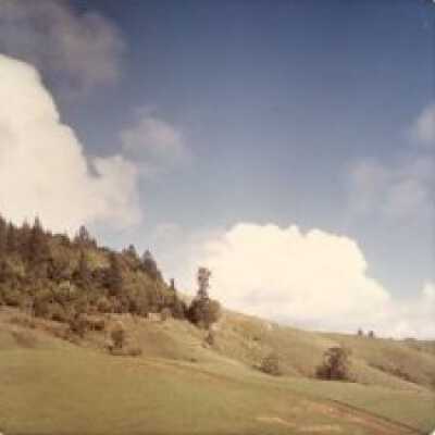 Mt Tam hillside