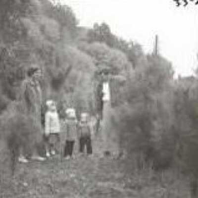 Christmas Tree Ranch