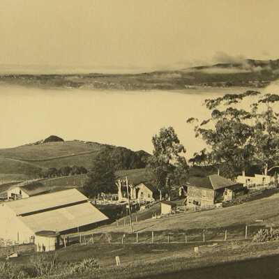 White Gate Ranch with Fog