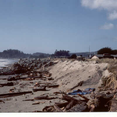 Storm debris on the beach