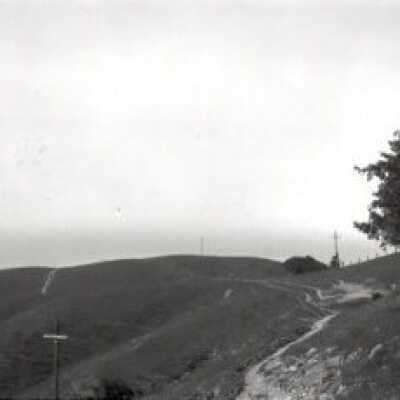 View from Hog's Back