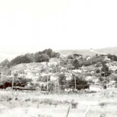 Hillside Panorama
