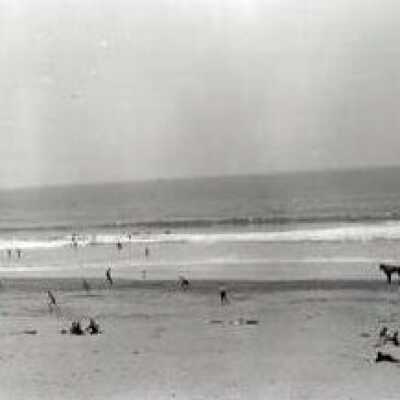 Stinson Beach panorama
