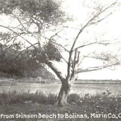 Stinson-Bolinas Road