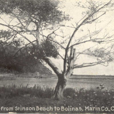 Bolinas Lagoon