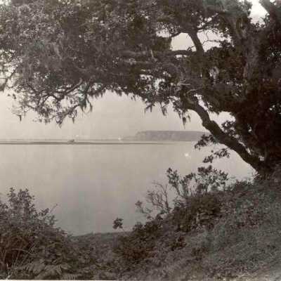 Bolinas Lagoon