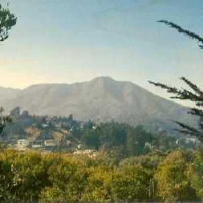 View of Mt Tamalpais