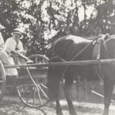 Elizabeth Airey & Norma in horse carriage