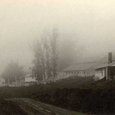 Fog at Whate Gate Ranch
