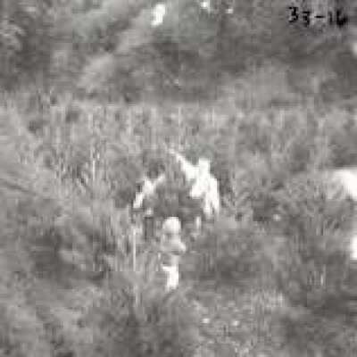 Christmas Tree Ranch