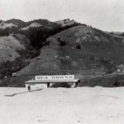 Photograph #814 (auto-assigned)