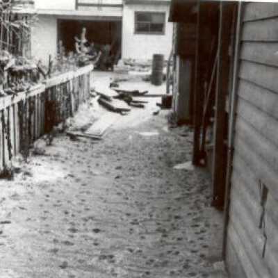 Calle del Pinos series