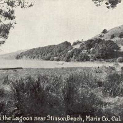 Quiet Cove