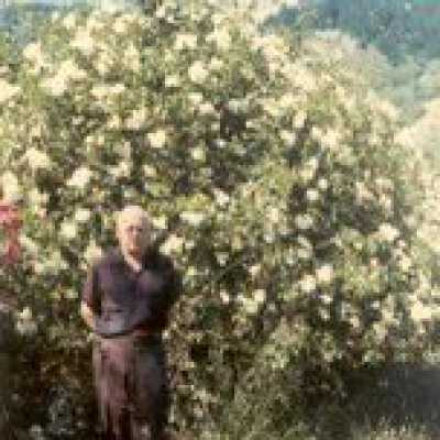 Arthur Jesse