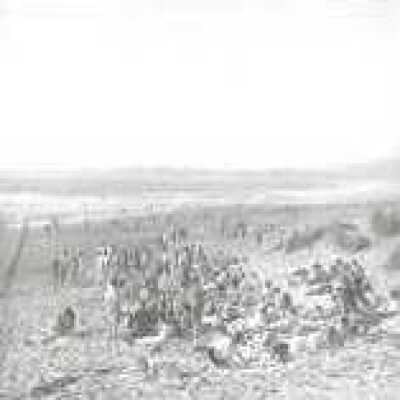 Beach crowd