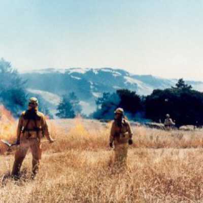 Controlled Fire at Bolinas 3