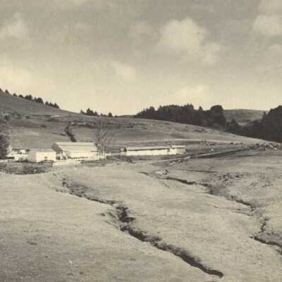 White Gate Ranch 11/24/54