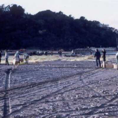 Oil Spill, Jan 1971