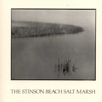 The Stinson Beach Salt Marsh