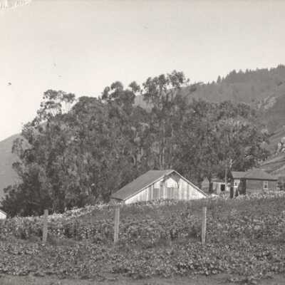 White Gate Ranch