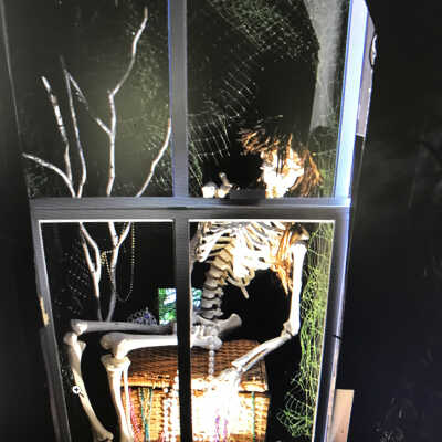 2009 Haunted House