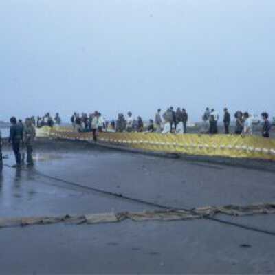 Oil Spill, Jan 1971