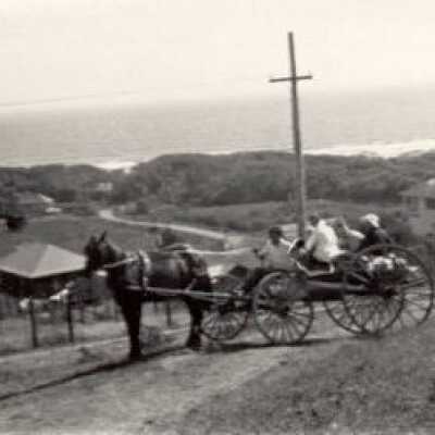 Horse Drawn Buckboard