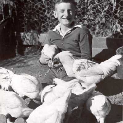 Young Man with Chickens