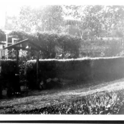Lombert House Hedge from Dirt Belvedere