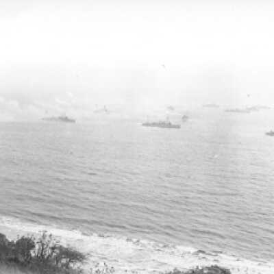U. S. Naval Fleet