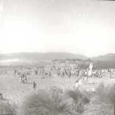 Beach crowd