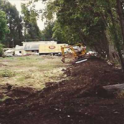 Clearing for Village Green 1