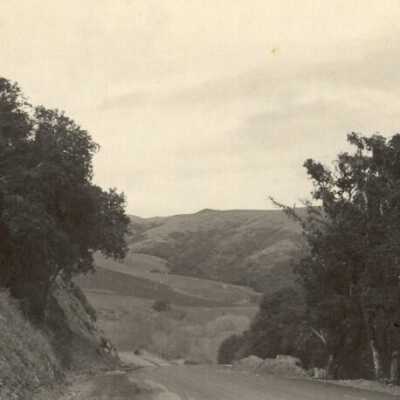 Road on Mount Tamalpais